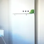 Shano's Apartment