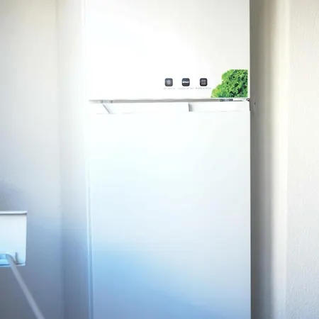 Shano's Apartment